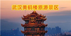 骚穴被鸡巴操视频