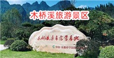 小骚逼美女叫